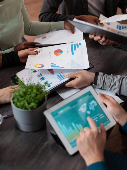 Consultanță în Marketing Promovare Prahova